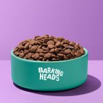 4-All-Hounder-Fat-Dog-Slim-Kibble-Bowl-Shot-scaled