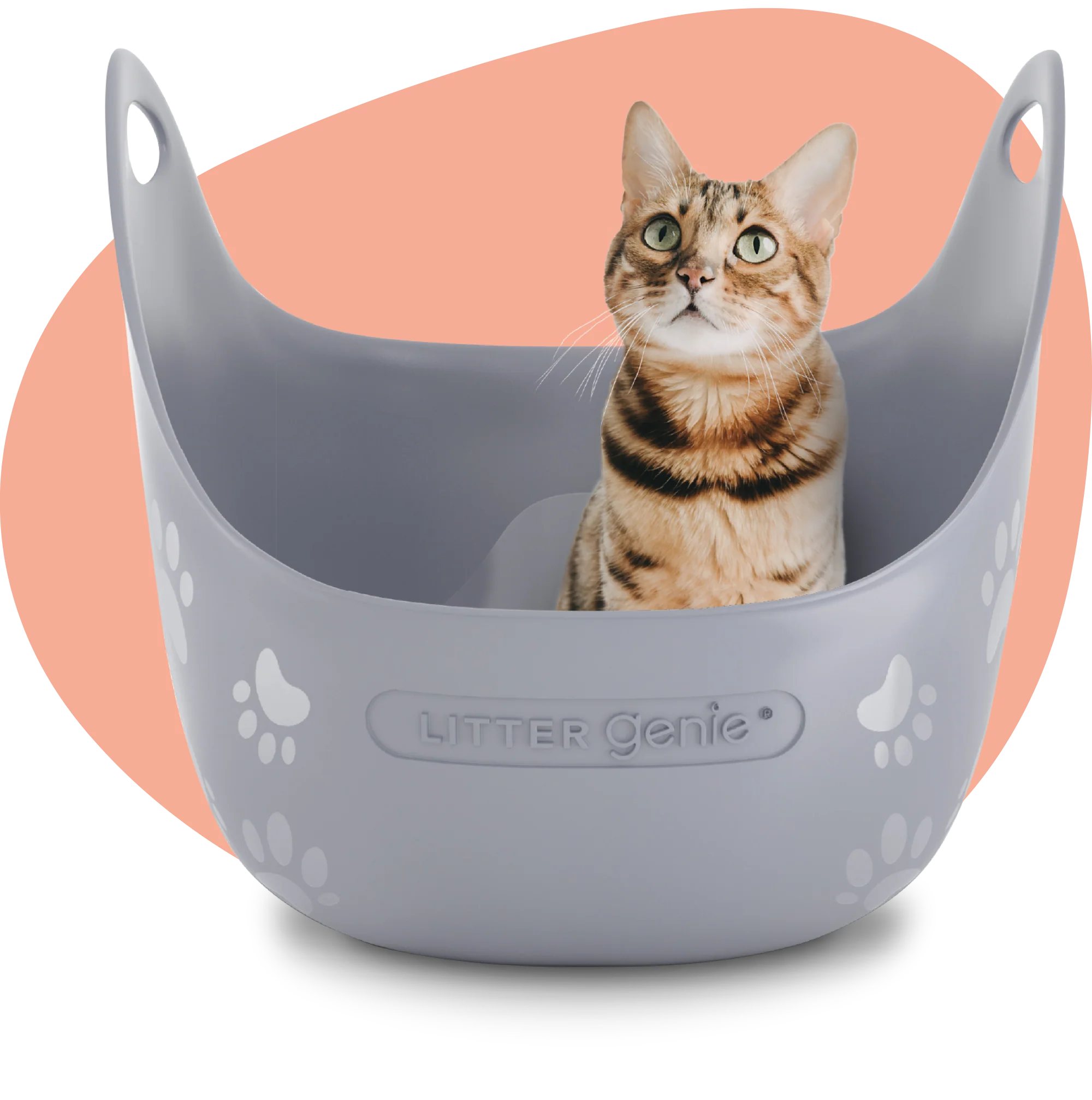 LitterGenie-LitterBox-Grey-01-Pastille